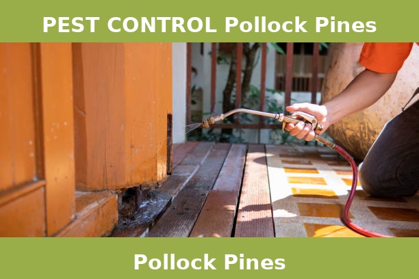 PEST CONTROL Pollock Pines